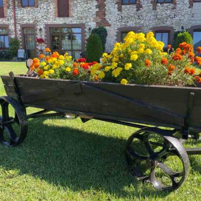 Pokoje gościnne Jurajka w Żarkach