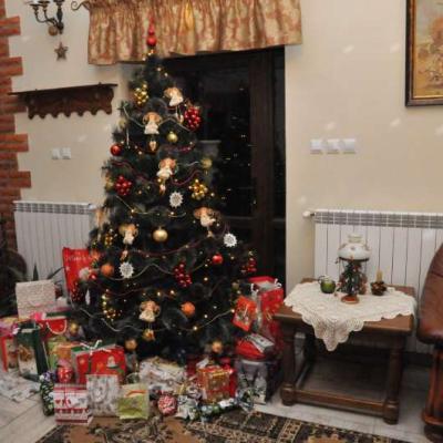 Pokoje gościnne Jurajka w Żarkach